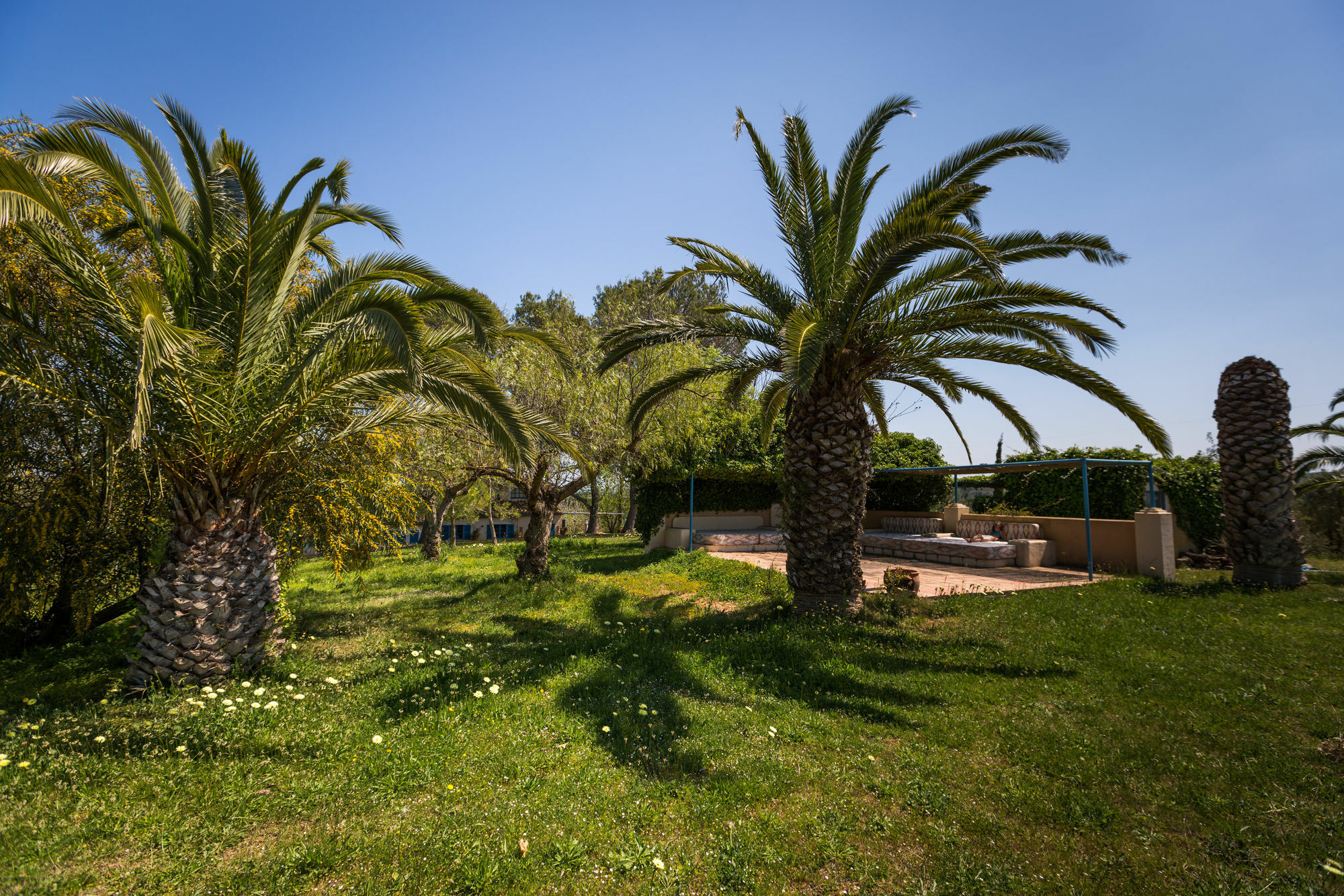 Finca Son Miranda - La Organic Sencelles Exterior photo
