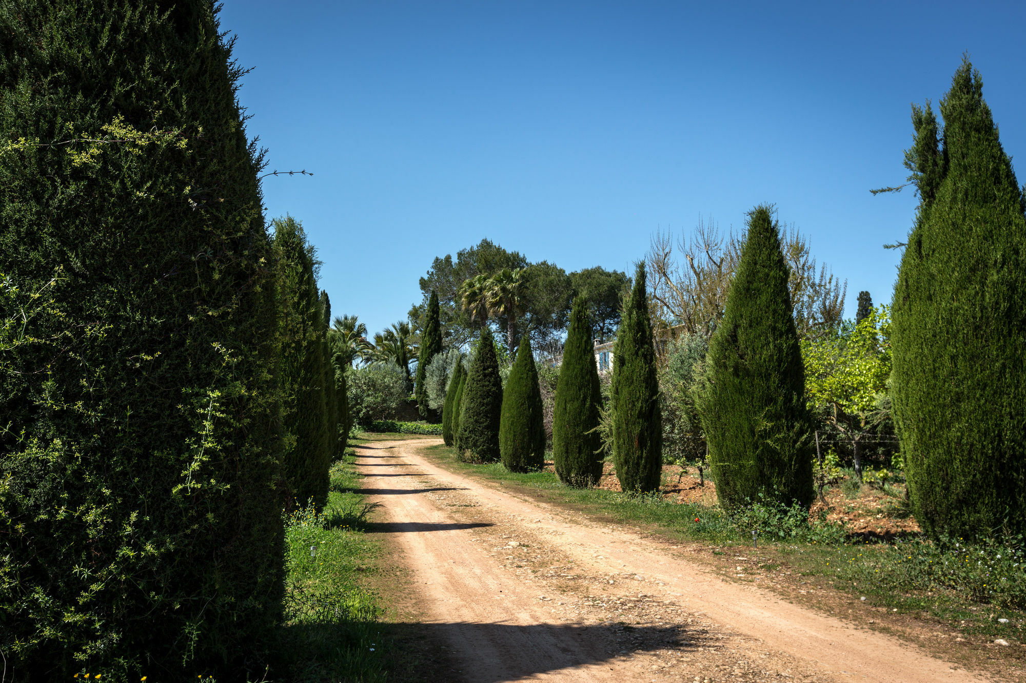 Finca Son Miranda - La Organic Sencelles Exterior photo