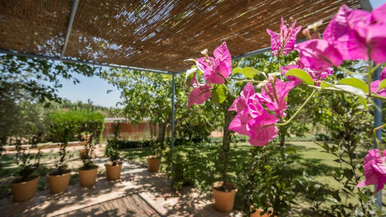Finca Son Miranda - La Organic Sencelles Exterior photo